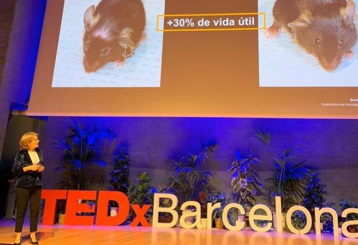 TEDx highlights UCAM&#039;s research to reverse ageing