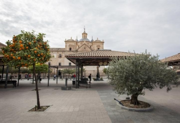 I am José Luis Mendoza too