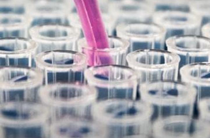 Vice-Rector’s Office for Research 