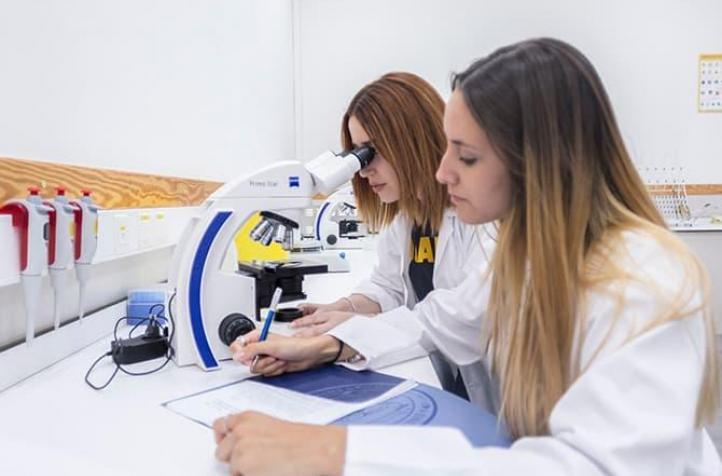 UCAM’s Research Programme